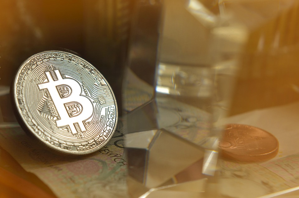 马斯克回归特斯拉、减少DOGE工作！TSLA与狗狗币双双暴涨